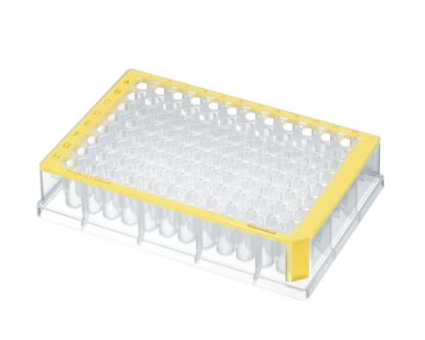 40 DWPs 96x500µl yellow Protein