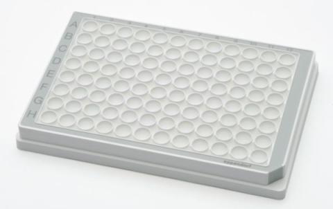 Microplate96/V-PP white/grey PCR 80pl.