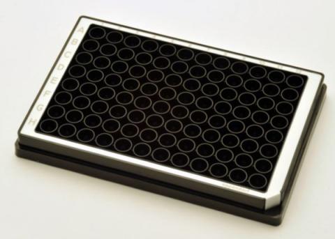 Microplate 96/F-PP white Bor. 5x16 pcs.