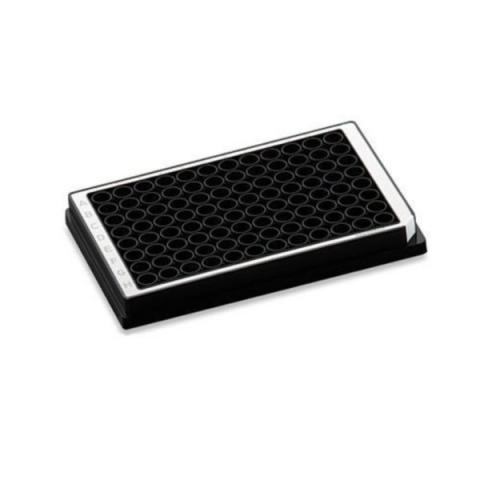 Microplate96/U-PP black/white PCR 80pl.