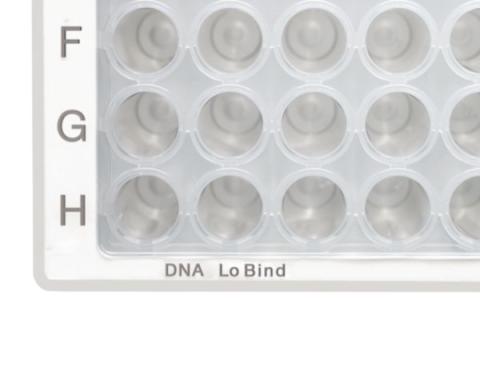 Microplate 96/V-PP clear/white DNA 80pcs