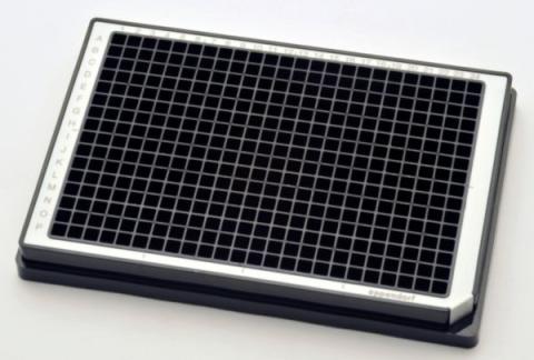 Microplate384/V-PP black/white PCR 80pl.